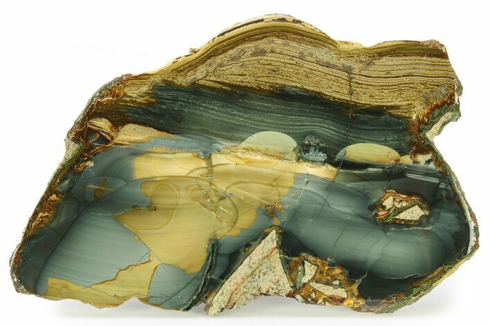 Polished Slab of Blue Mountain Jasper - Oregon #299338